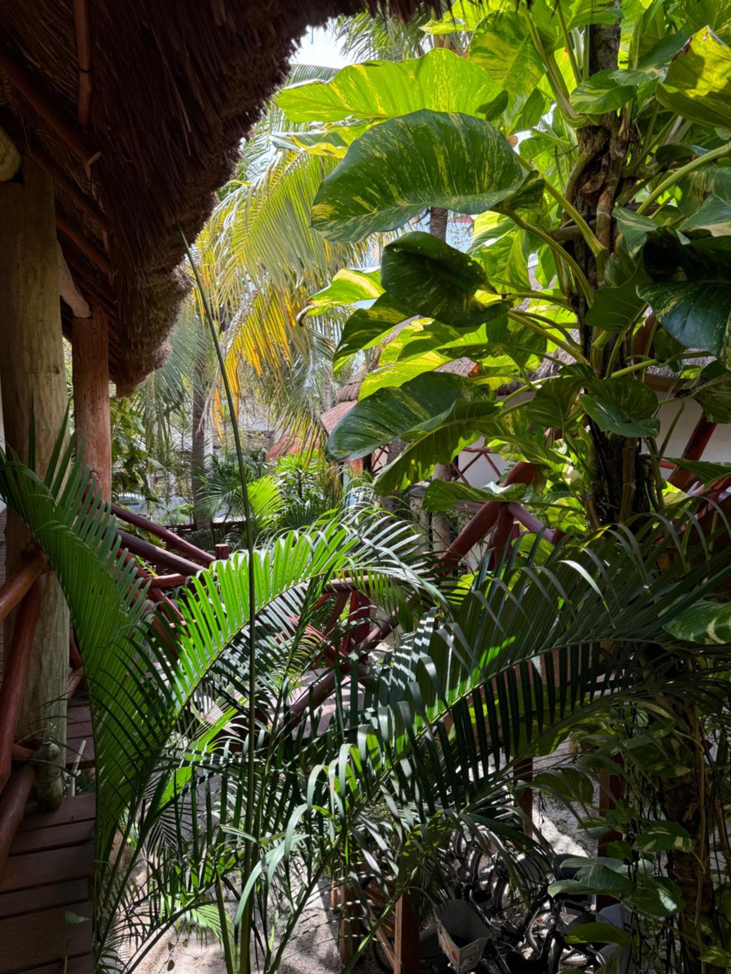 Kin Ha Tulum Hotel Dış mekan fotoğraf